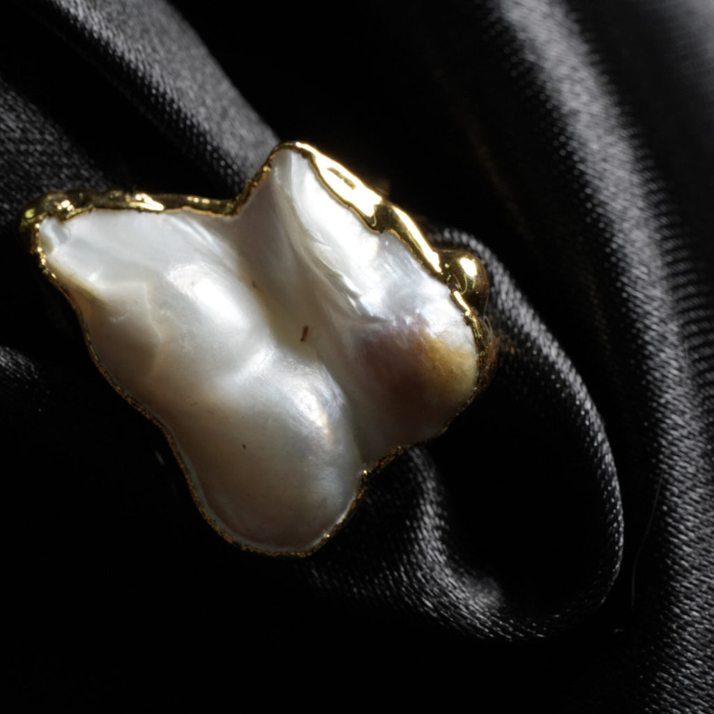 The Shell