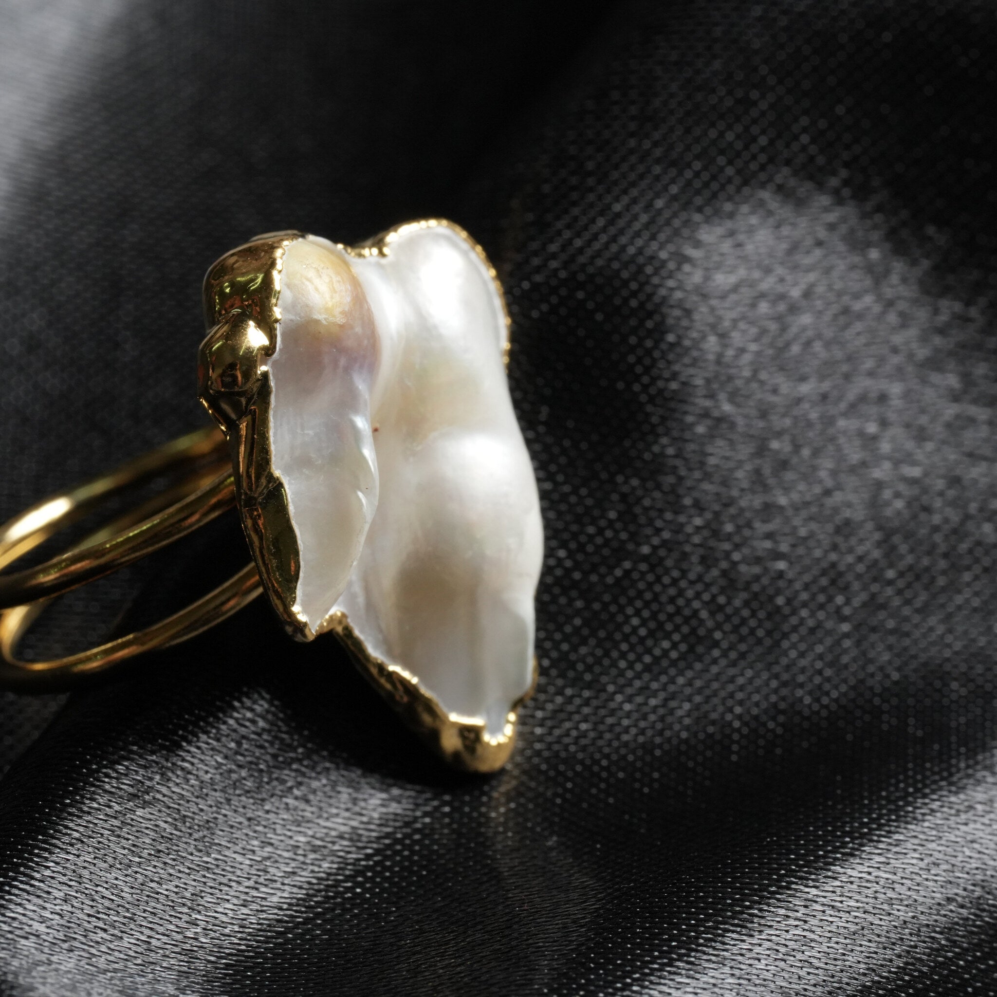 The Shell
